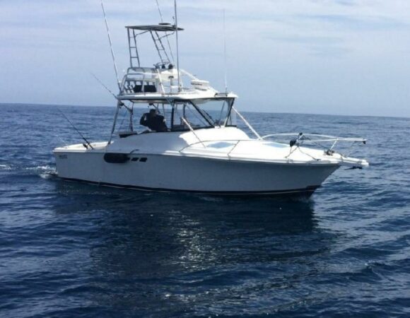 FISHING CHARTER (LUHRS 29FT, 6 MAX)