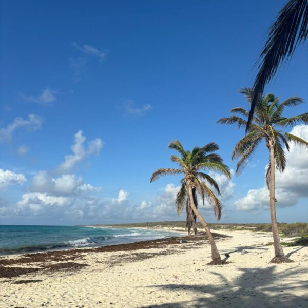 Cozumel_island_tour