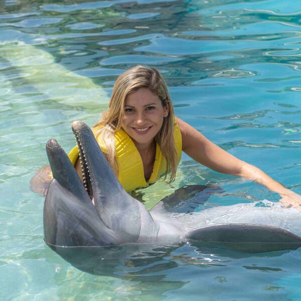 Dolphin Swim & Encounter Tour