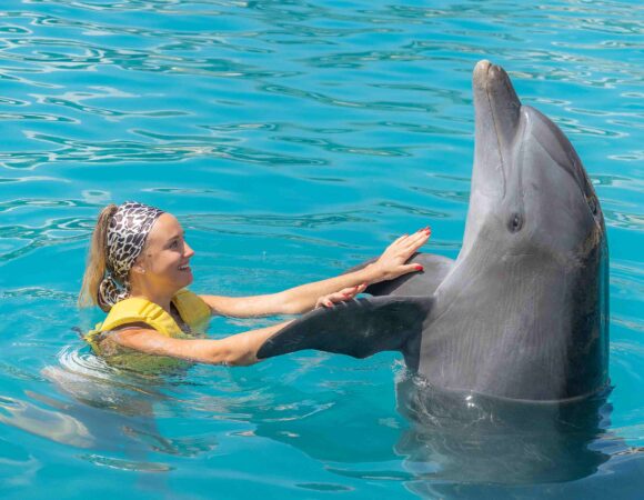 DOLPHIN SWIM ALL INCLUSIVE