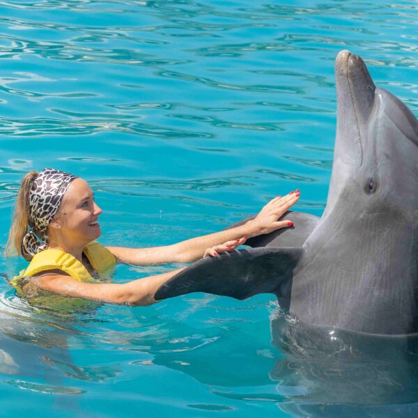 Dolphin Swim & Encounter Tour