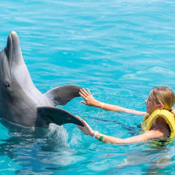 Dolphin Swim & Encounter Tour